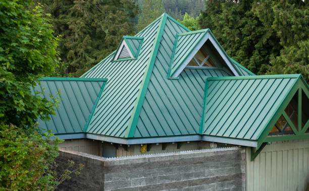 Best Roof Moss and Algae Removal  in Brockway, PA